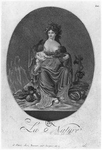 Nature, published by Basset